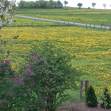Wiesenblick